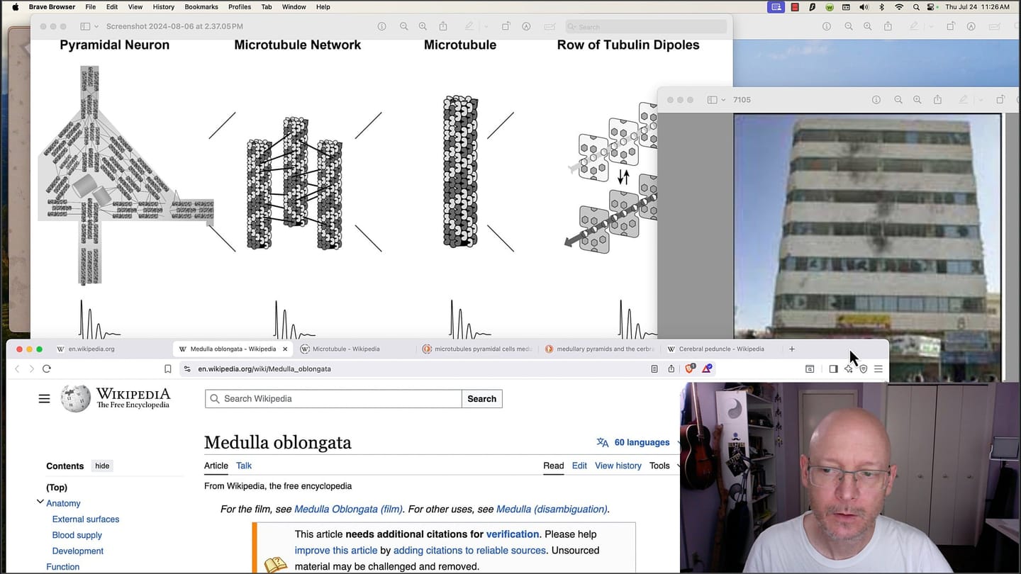 My Microtubule Simulation Theory