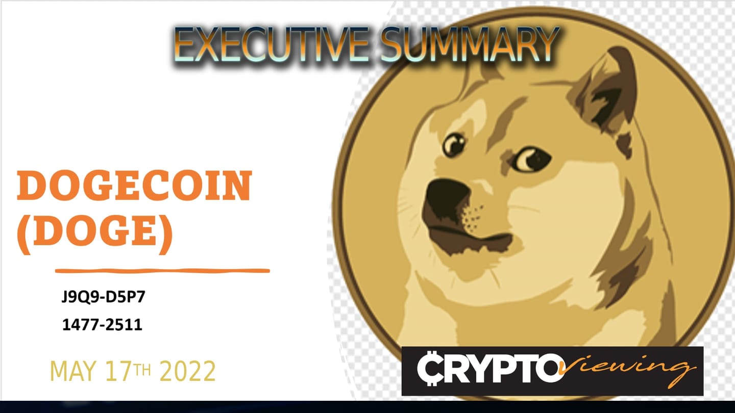 Dogecoin Executive Debrief (2022)