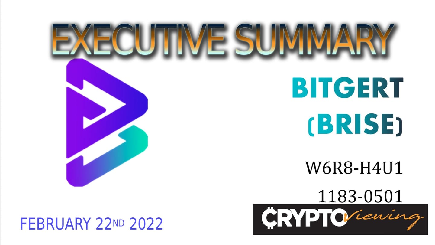 Executive Debrief for Bitgert: Red Flags Discovered