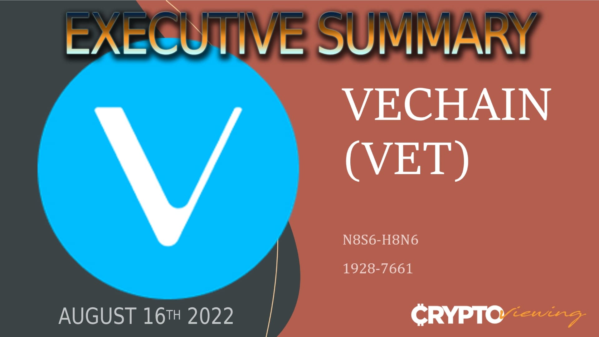 Executive Debrief for VeChain (VET) - 2022