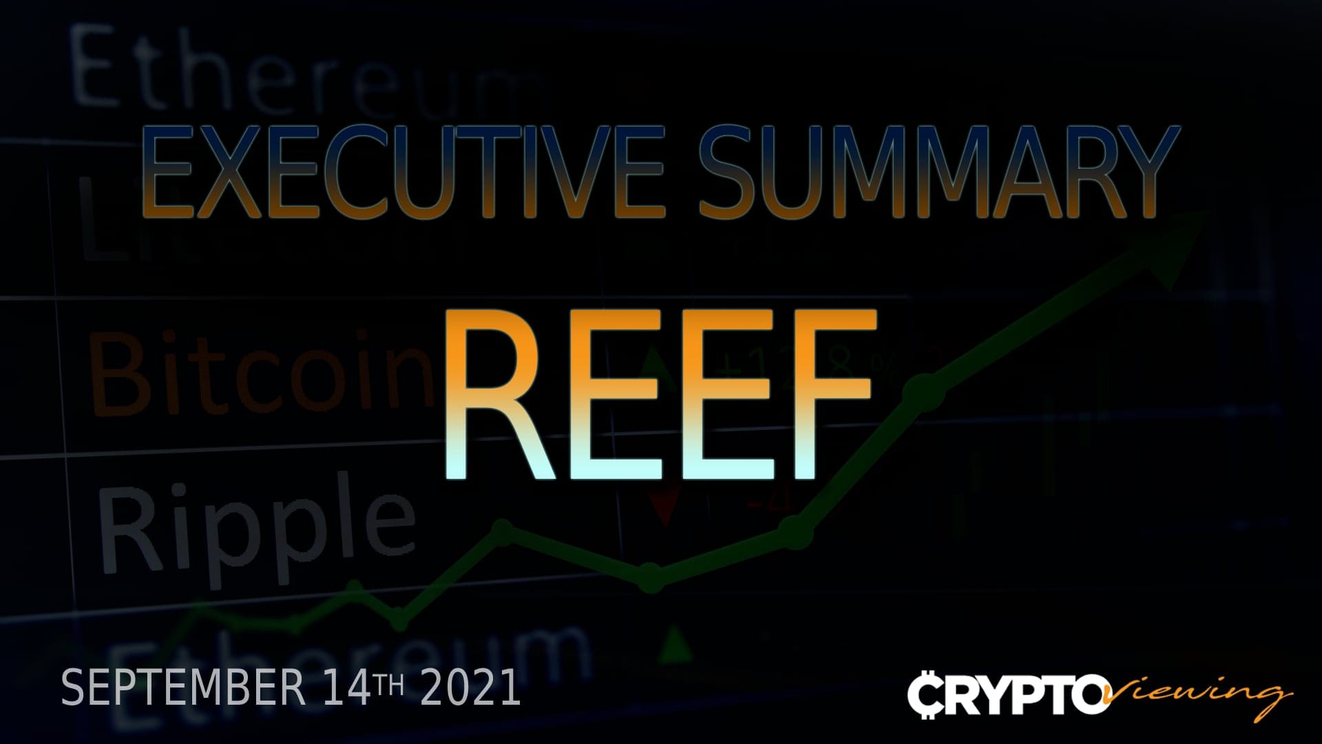Reef Finance Executive Debrief