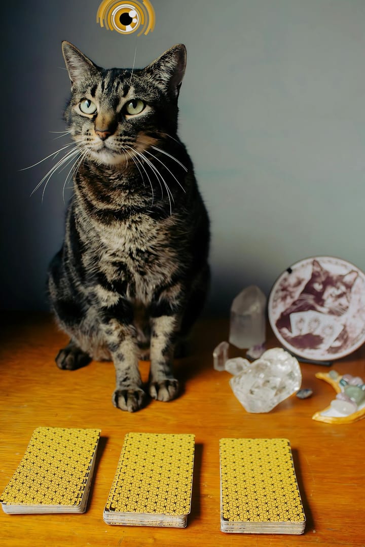 JOURNEY THROUGH THE CARDS WITH COURTNEY WHEATON I EPISODE 18