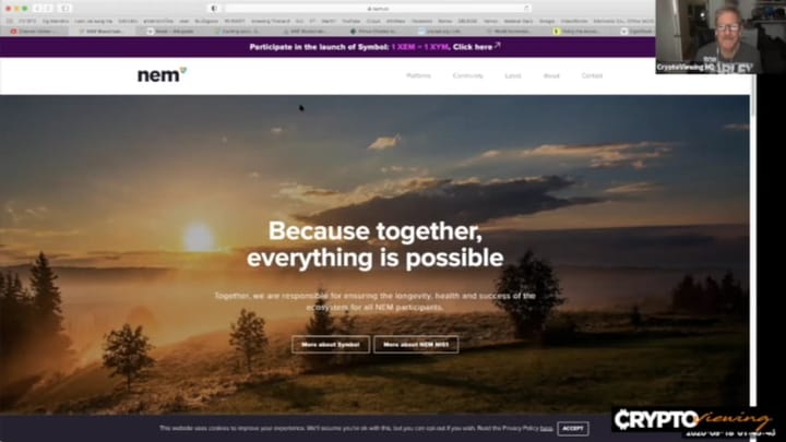 The NEM Blockchain: Your Digital Identity Prison or Liberation Tool?