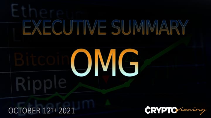 Executive Debrief for OMG Network (2021)