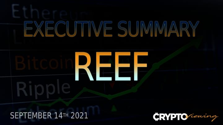 Reef Finance Executive Debrief