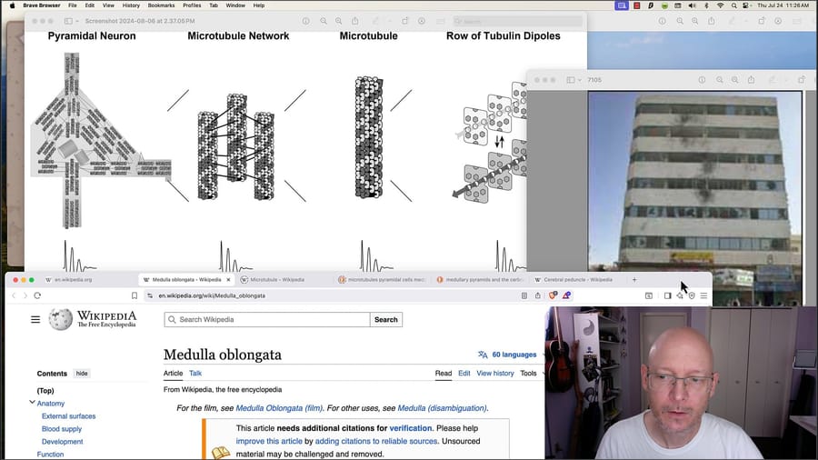 My Microtubule Simulation Theory