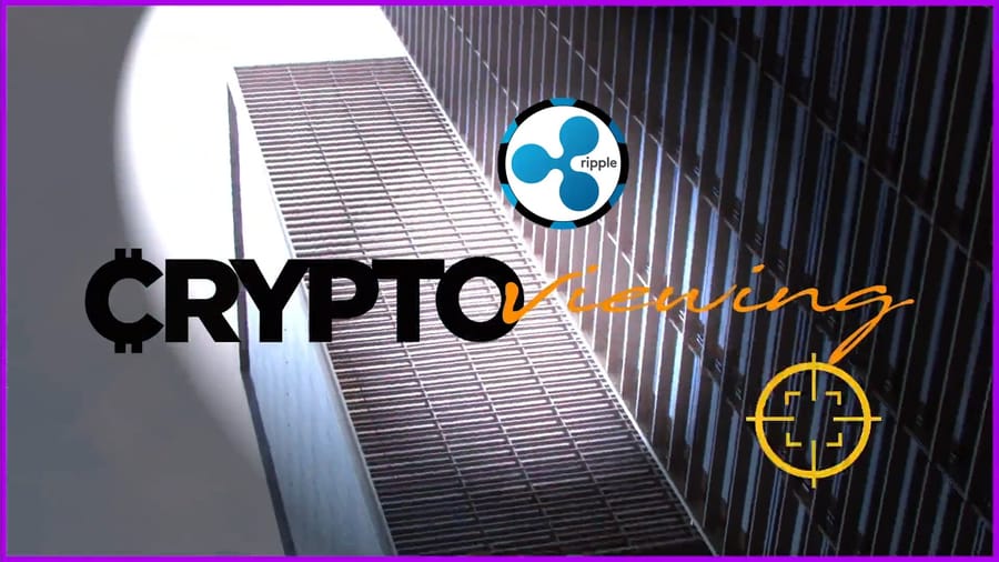 XRP Executive Debrief (2020): Banking Revolution Unveiled!