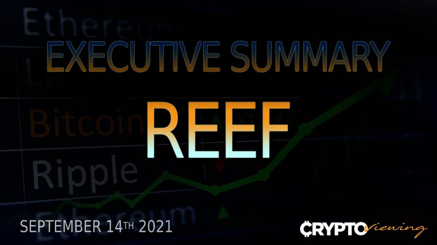 Reef Finance Executive Debrief