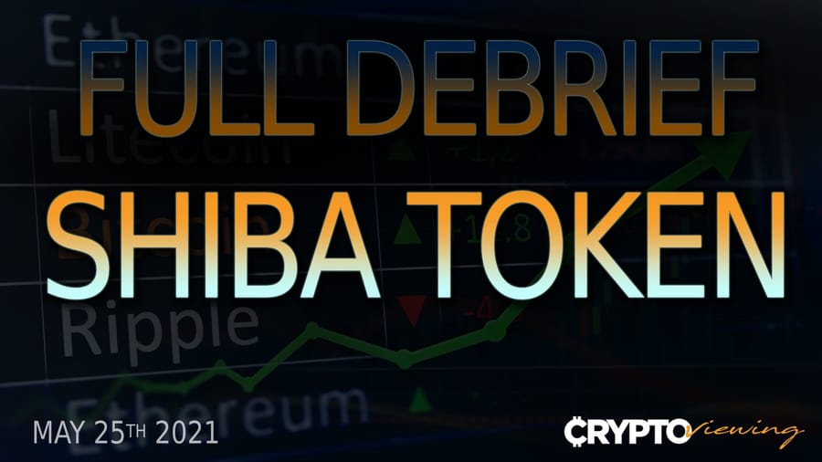 Executive Debrief for SHIBA INU: The Dogecoin Killer's Shocking 2023 Prediction