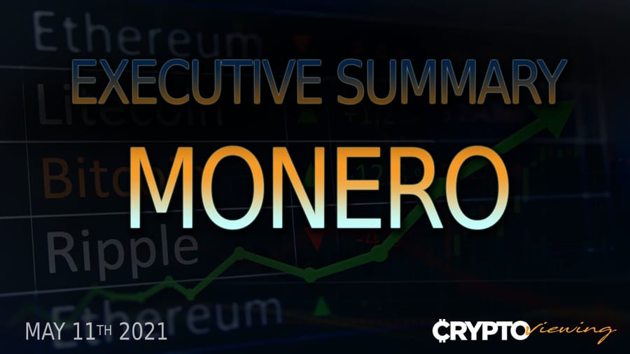 Executive Debrief for Monero: The Privacy Coin That Will Survive Government Crackdowns