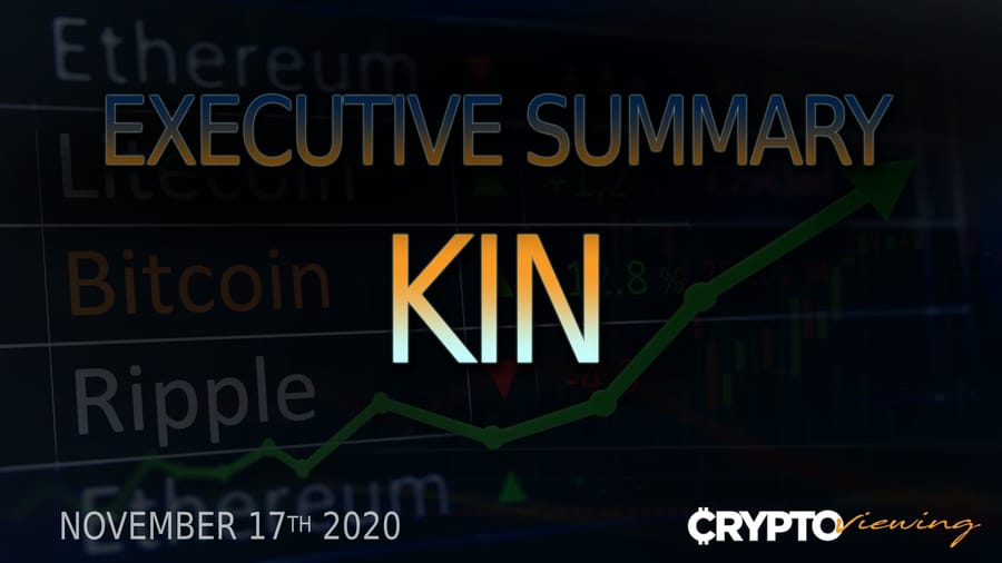 Executive Debrief for the Kin Token