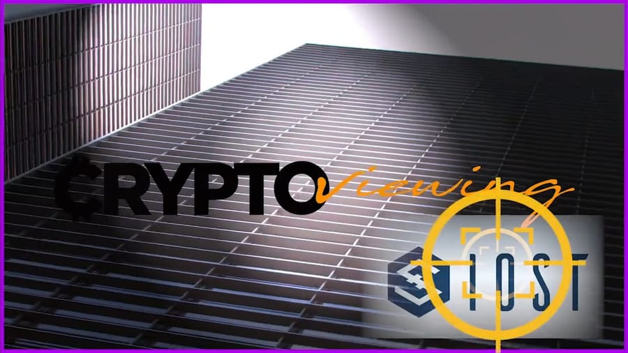 Executive Debrief for IOST: Blockchain’s Role in Crisis Response?